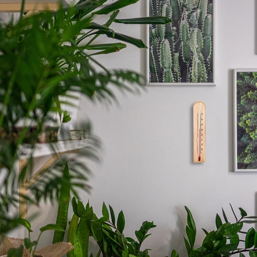 Huonelämpömittari kuviolla (-20°C - +50°C) 20cm - 5