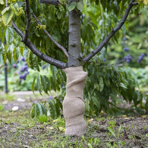 Juuttinauha 10 cm/5 m - 5