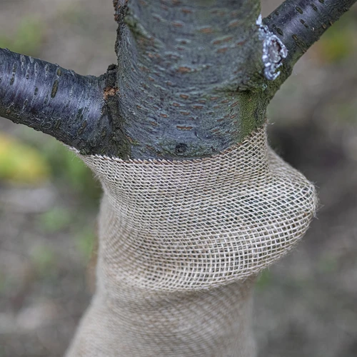 Juuttinauha 10 cm/5 m - 7