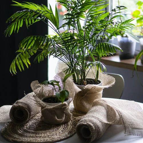 Juuttinauha 5 cm / 8 m - 8