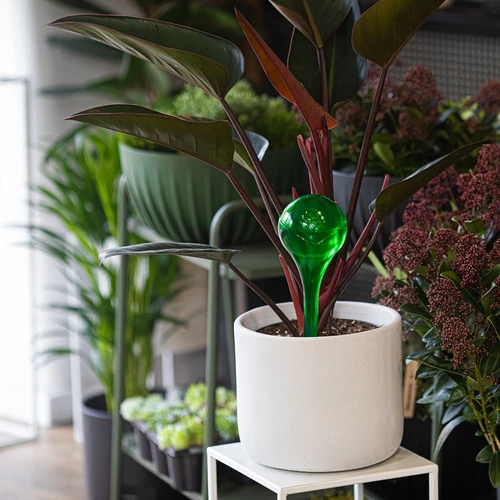 Kastelupallot kasveille, vihreät läpinäkyvät, 400 ml, 4 kpl - 9