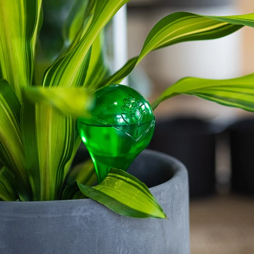 Kastelupallot kasveille, vihreät läpinäkyvät, 400 ml, 4 kpl - 10