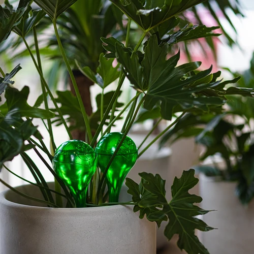 Kastelupallot kasveille, vihreät läpinäkyvät, 400 ml, 4 kpl - 12