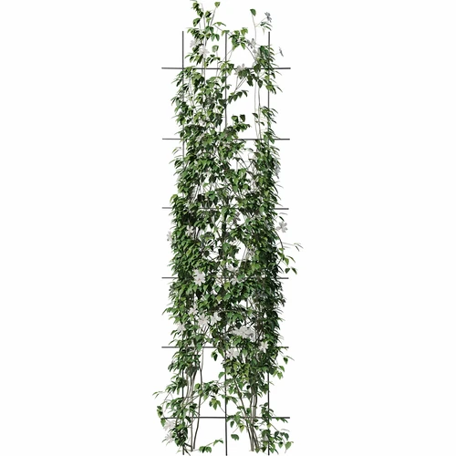Kasvituki - ristikko (150cm x 45cm) 3 kappaletta - 3