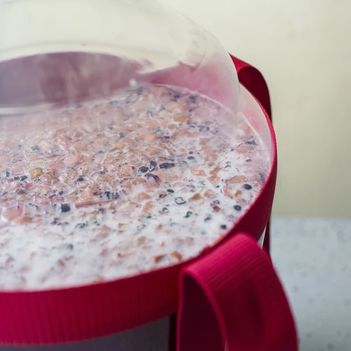 Kevyt, särkymätön viinipullo hihnoilla, 25 L - 16