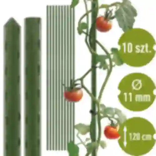 Bioogród-puutarhakepit – päällystetty teräs, 1,2 m, fi 11 mm, 10 kpl