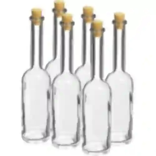 Likööripullo 100 ml 6 kpl + 6 korkkia