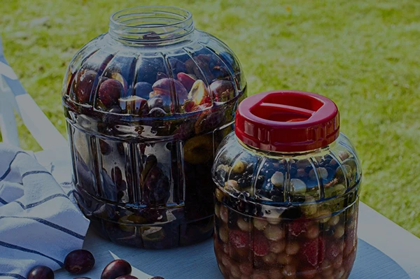 KAUDEN HERKUT RIKKOUTUMATTOMISSA PURKEISSA