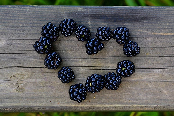 Kotitekoinen karhunvatukkalikööri