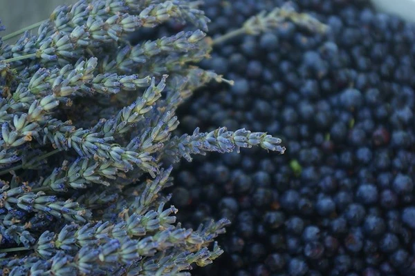 Kotitekoinen laventeli–mustikkaviini