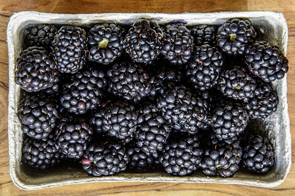 Kotitekoinen puolimakea karhunvatukkaviini