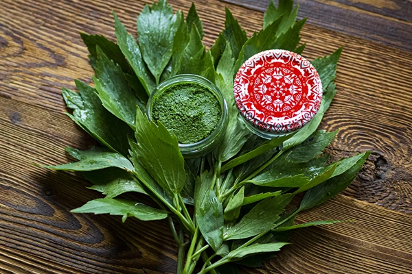 Lipstikkatahna — kotitekoinen MAGGI-mauste