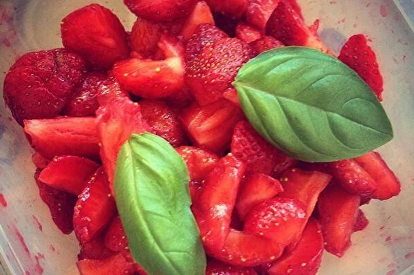 Mansikkahillo basilikalla