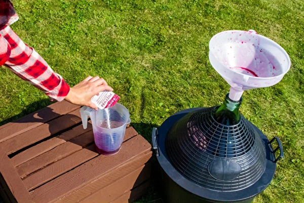 Miten tehdä viiniä vaihe vaiheelta?