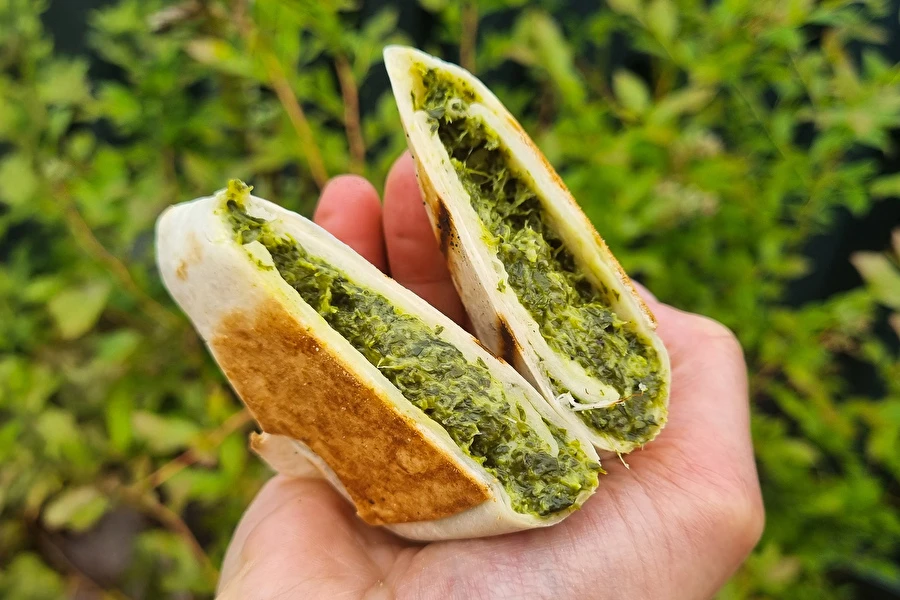 Browin Przepiśnik - Grillatut tortillat pinaatin ja fetan kanssa