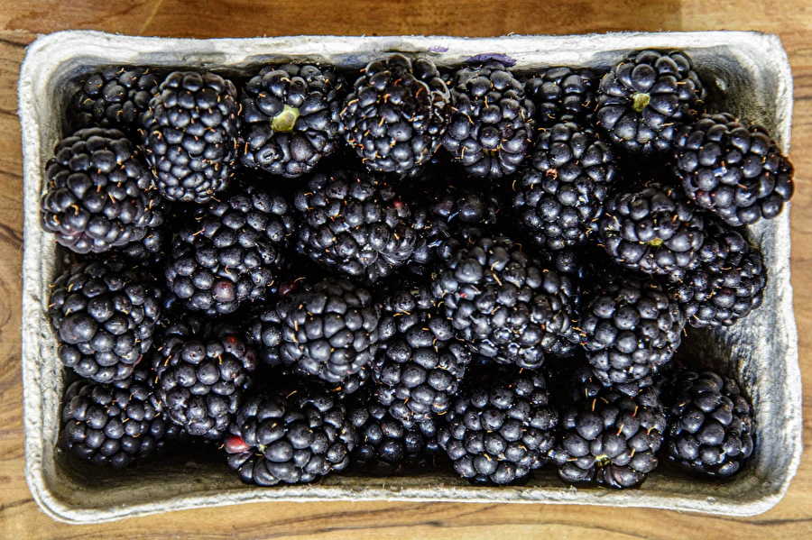 Kotitekoinen puolimakea karhunvatukkaviini