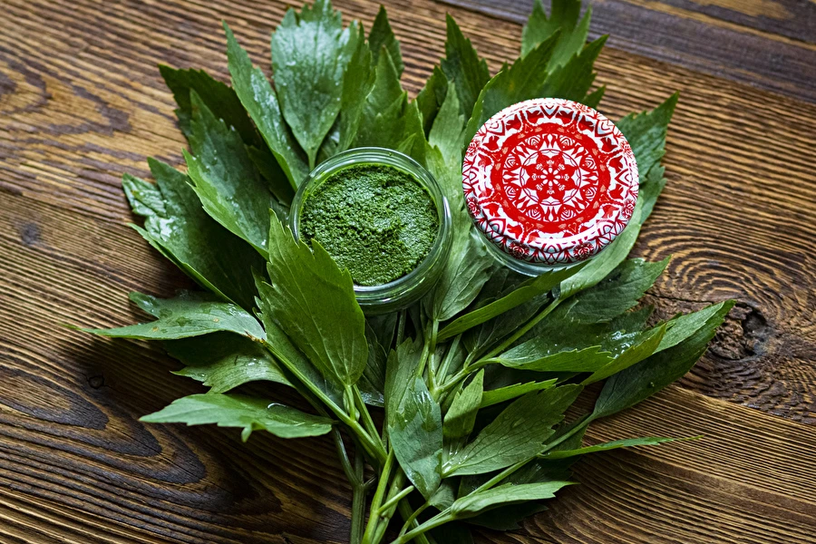 Lipstikkatahna — kotitekoinen MAGGI-mauste